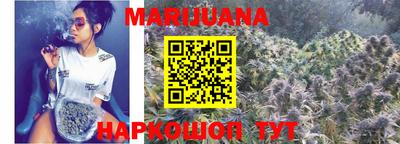 индика Тула