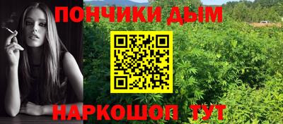 индика Тула