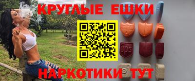 индика Тула
