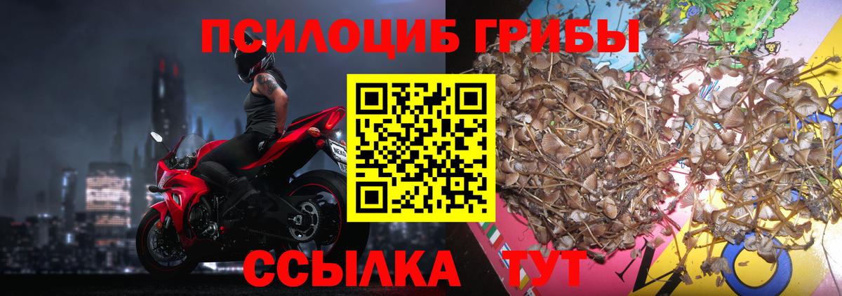 Балашиха  Псилоцибиновые грибы Psilocybe  Галлюциногенные грибы Psilocybe  магазин продажи   Вход с VPN 