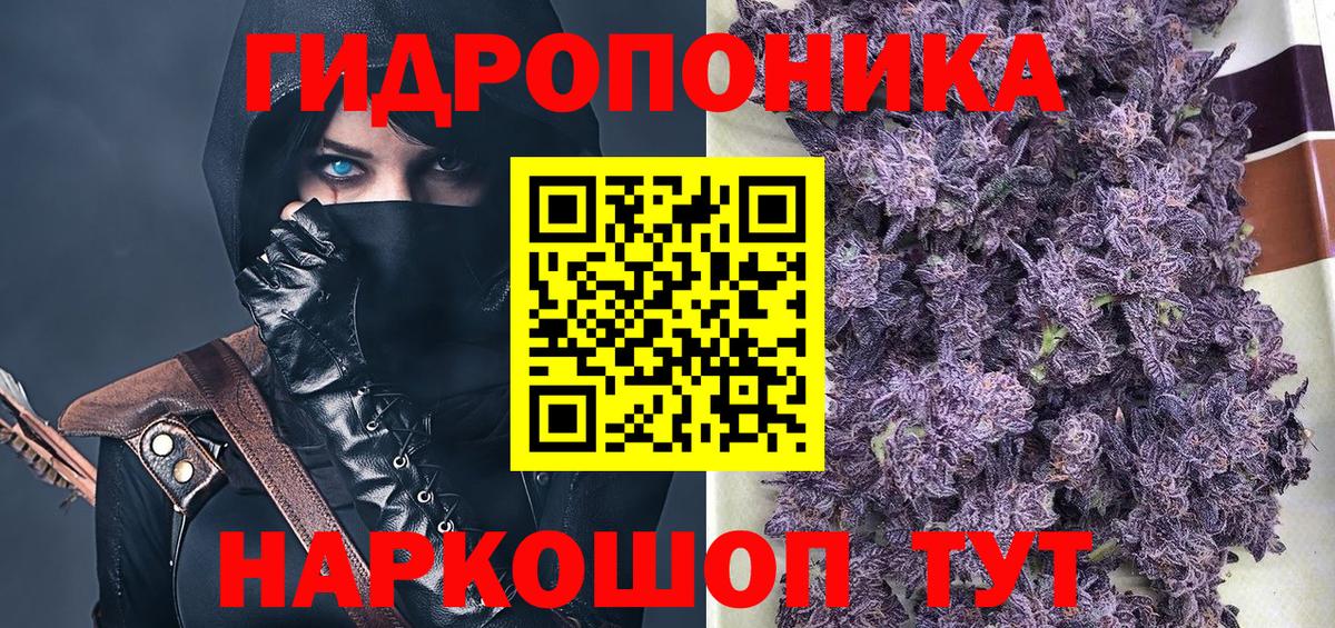 Марихуана план  Вход с VPN  МАРИХУАНА тримм  Конопля сатива  Балашиха 